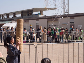 P1011080.jpg