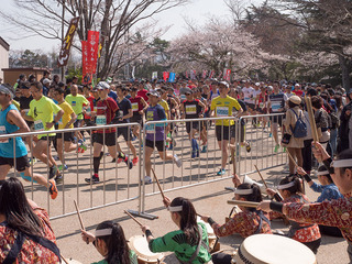 P1011087.jpg