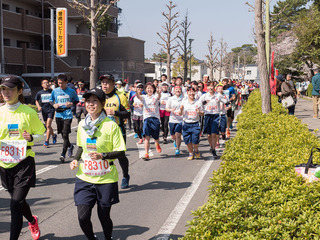 P1011140.jpg